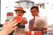事业算命（乡村行·看振兴）江西安福“小西瓜”撬动乡村共富“大支点”