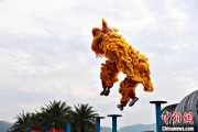 事业算命（文化中国行）壮乡狮舞闯南洋：脚踏“云桩” 饮誉海内外