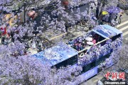 事业算命2024年云南重点高原湖泊水质稳定 抚仙湖达Ⅰ类